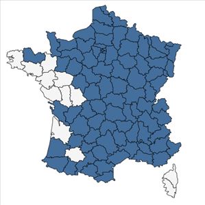 Répartition de Campanula rotundifolia L. en France