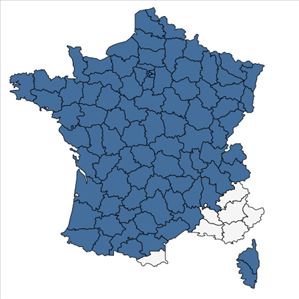 Répartition de Carex pilulifera L. en France