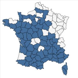 Répartition de Carthamus lanatus L. en France