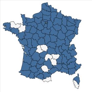 Répartition de Berula erecta (Huds.) Coville en France