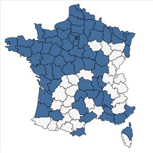 Répartition de Ceratophyllum submersum L. en France