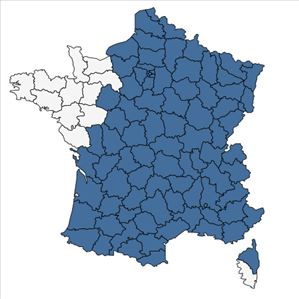 Répartition de Cornus sanguinea L. en France