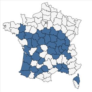 Répartition de Cyperus michelianus (L.) Delile en France