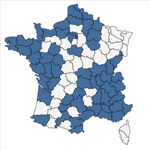 Répartition de Diplotaxis muralis (L.) DC. en France