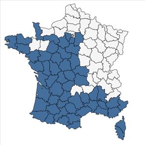 Répartition de Erica scoparia L. en France