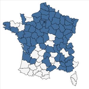 Répartition de Erysimum cheiranthoides L. en France