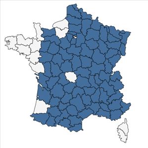 Répartition de Fragaria viridis Weston en France