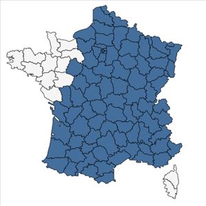 Répartition de Fraxinus excelsior L. en France