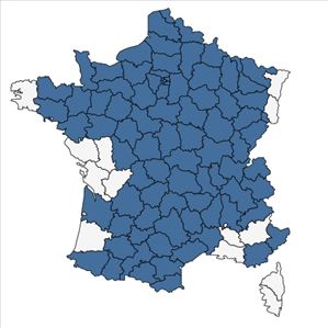 Répartition de Galanthus nivalis L. en France