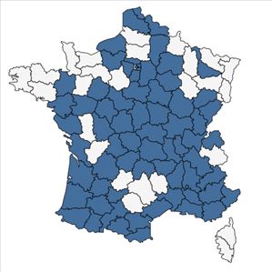 Répartition de Helianthus annuus L. en France