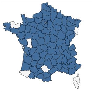 Répartition de Herniaria glabra L. en France