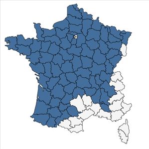Répartition de Bidens cernua L. en France