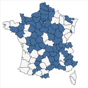 Répartition de Leonurus cardiaca L. en France