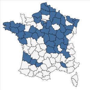 Répartition de Bidens connata Muhlenb. ex Willd. en France