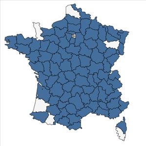 Répartition de Melittis melissophyllum L. en France