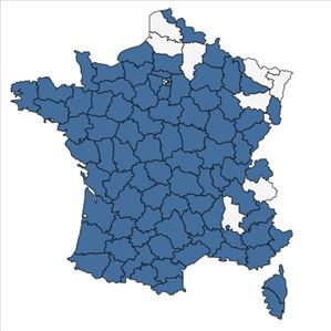 Répartition de Mentha pulegium L. en France