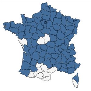 Répartition de Petasites hybridus (L.) G.Gaertn., B.Mey. & Scherb. en France