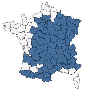 Répartition de Picea abies (L.) H.Karst. en France