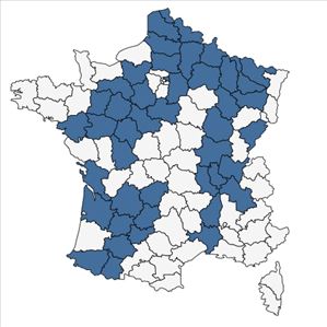 Répartition de Pseudofumaria alba (Mill.) Lidén en France