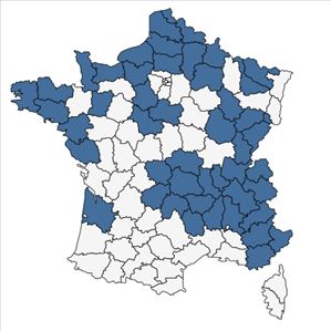 Répartition de Puccinellia distans (Jacq.) Parl. en France