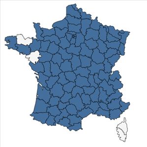 Répartition de Quercus robur L. en France