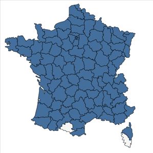 Répartition de Rorippa sylvestris (L.) Besser en France