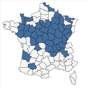 Répartition de Bidens radiata Thuill. en France