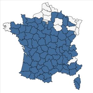 Répartition de Sedum rubens L. en France