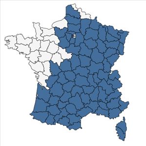 Répartition de Sorbus aria (L.) Crantz en France