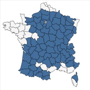 Répartition de Stachys alpina L. en France