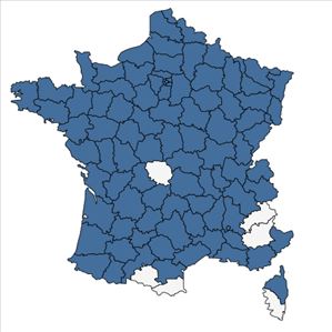 Répartition de Stachys palustris L. en France