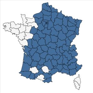 Répartition de Symphytum officinale L. en France
