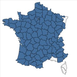 Répartition de Thymus praecox Opiz en France