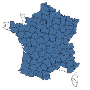 Répartition de Trifolium medium L. en France
