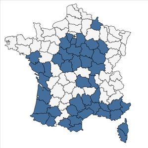 Répartition de Trifolium nigrescens Viv. en France