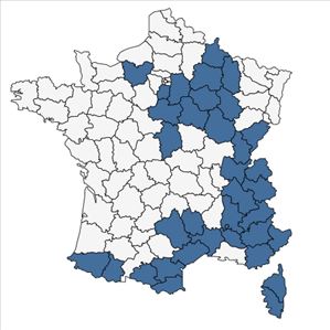 Répartition de Viola rupestris F.W.Schmidt en France