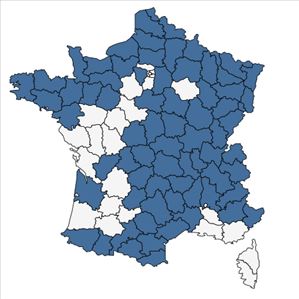 Répartition de Bistorta officinalis Delarbre en France