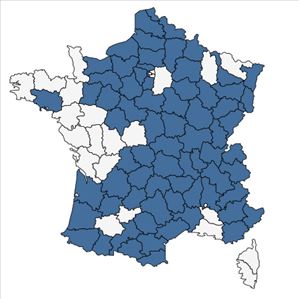 Répartition de Euphrasia officinalis L. en France