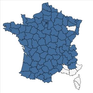 Répartition de Ribes rubrum L. en France