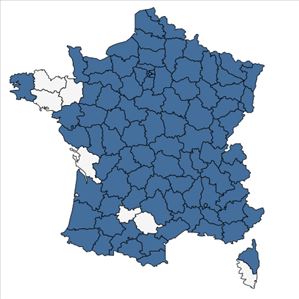 Répartition de Ulmus glabra Huds. en France