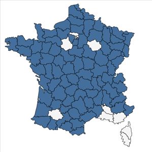 Répartition de Viola tricolor L. en France