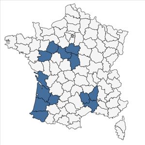 Répartition de Cistus lasianthus Lam. en France