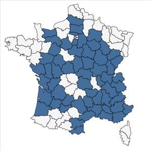 Répartition de Ophrys virescens Philippe en France