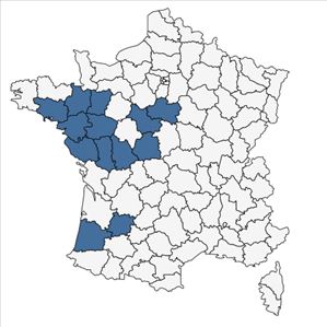 Répartition de Gladiolus illyricus W.D.J.Koch en France