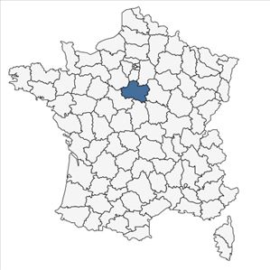 Répartition de Cynoglossum amabile Stapf & J.R.Drumm. en France