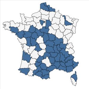 Répartition de Dysphania botrys (L.) Mosyakin & Clemants en France