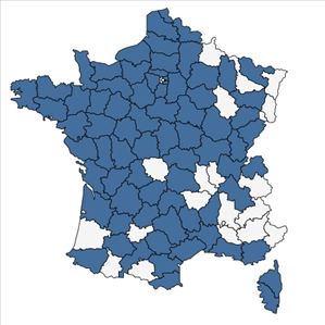 Répartition de Lysimachia minima (L.) U.Manns & Anderb. en France