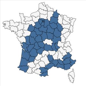 Répartition de Bryonia cretica L. en France