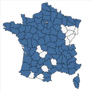 Répartition de Bolboschoenus maritimus (L.) Palla en France