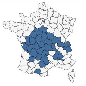 Répartition de Rorippa pyrenaica (All.) Rchb. var. pyrenaica en France